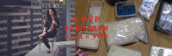 спиды Абаза