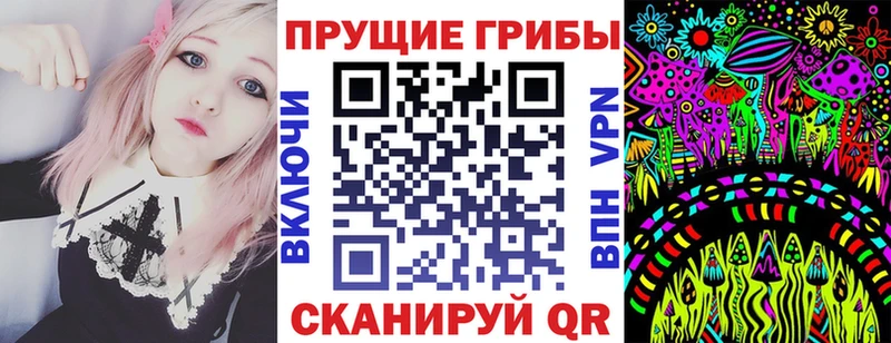 Псилоцибиновые грибы Psilocybe  Переславль-Залесский 