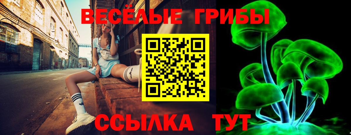 Галлюциногенные грибы Psilocybine cubensis  Вход с VPN  Переславль-Залесский 